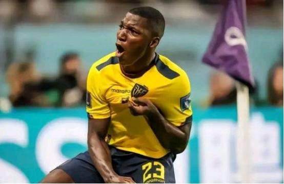 1691710894504080432.jpg kaisaiduo.jpg